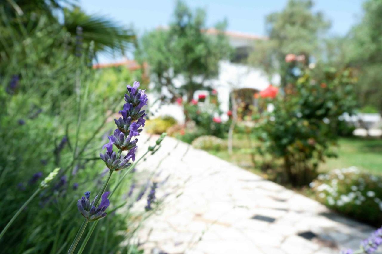 Apartment Ponos Krk Town Εξωτερικό φωτογραφία